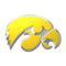 Iowa Hawkeyes Auto Emblem - Color